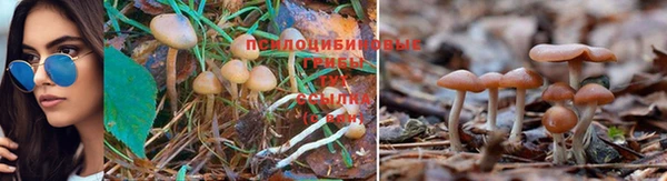 mdpv Михайлов
