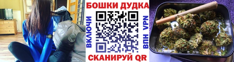 Бошки марихуана OG Kush  Купить закладки  Калининец 